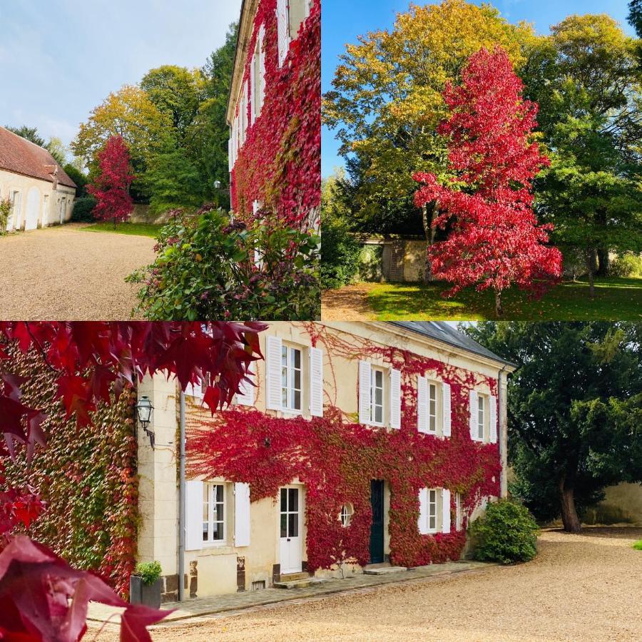 Les Couleurs Du Verger Beaumont-les-Autels Zewnętrze zdjęcie