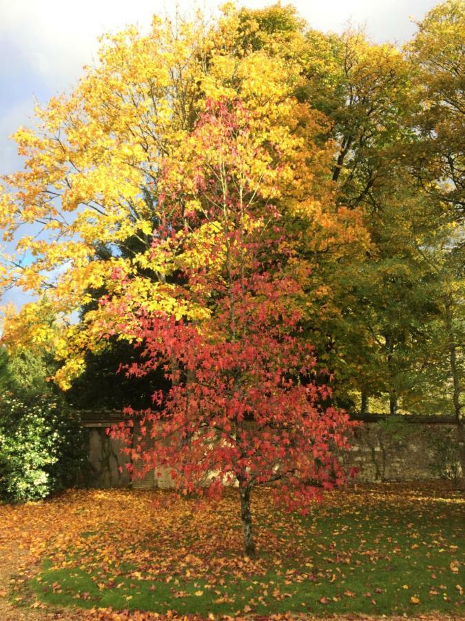 Les Couleurs Du Verger Beaumont-les-Autels Zewnętrze zdjęcie